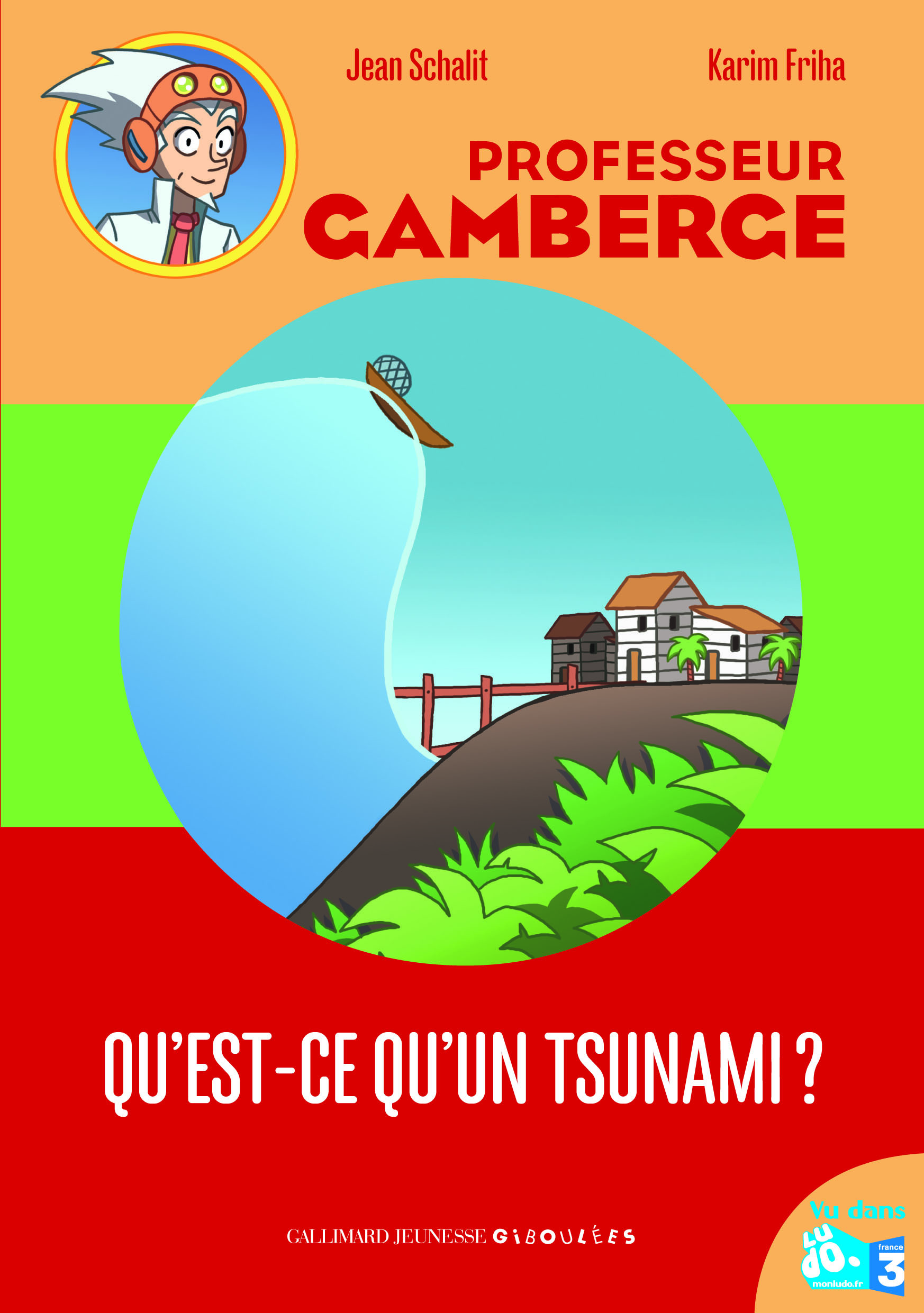 QU-EST-CE QU-UN TSUNAMI? - Jean Schalit - GALL JEUN GIBOU