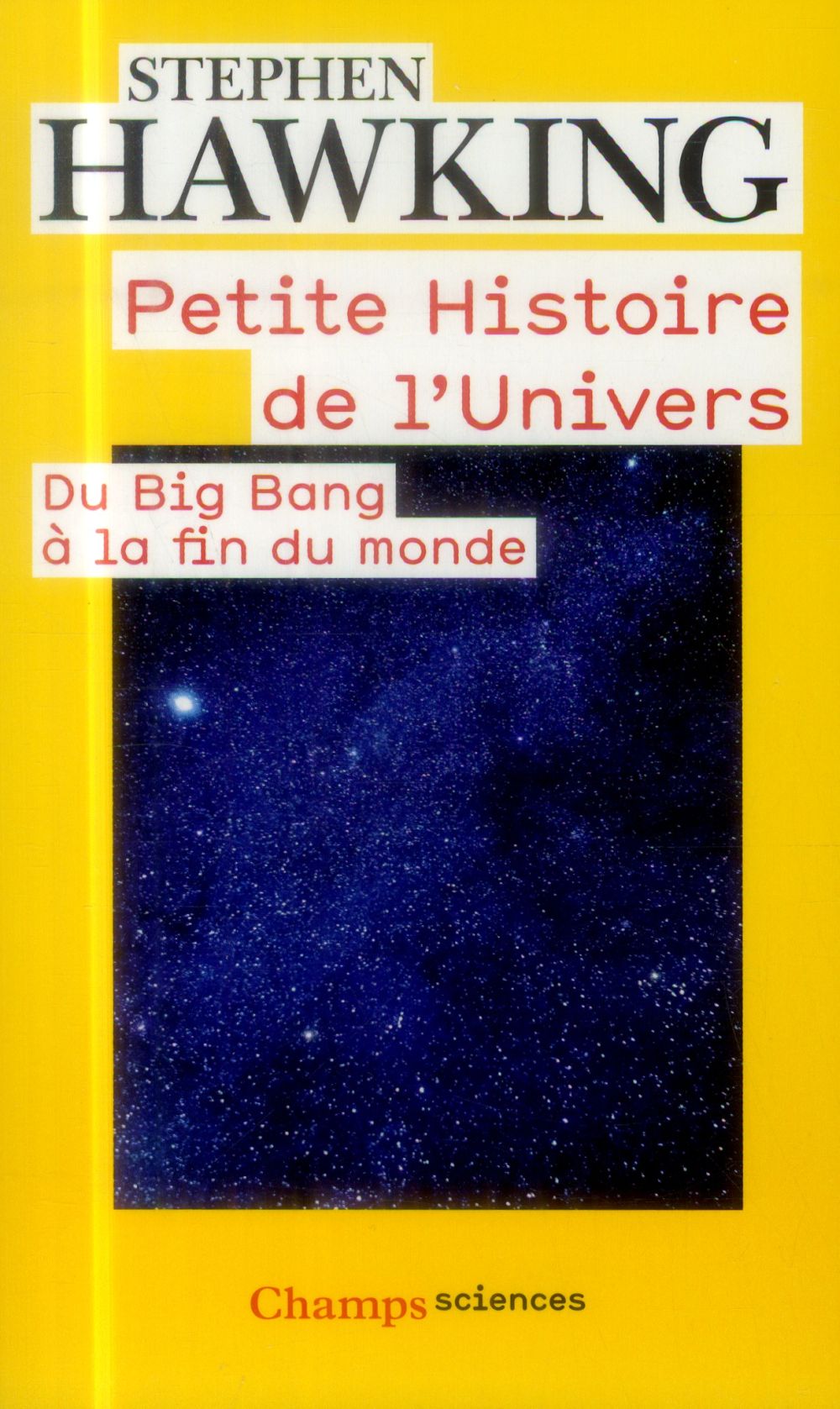 PETITE HISTOIRE DE L-UNIVERS - DU BIG BANG A LA FIN DU MONDE - HAWKING STEPHEN - Flammarion