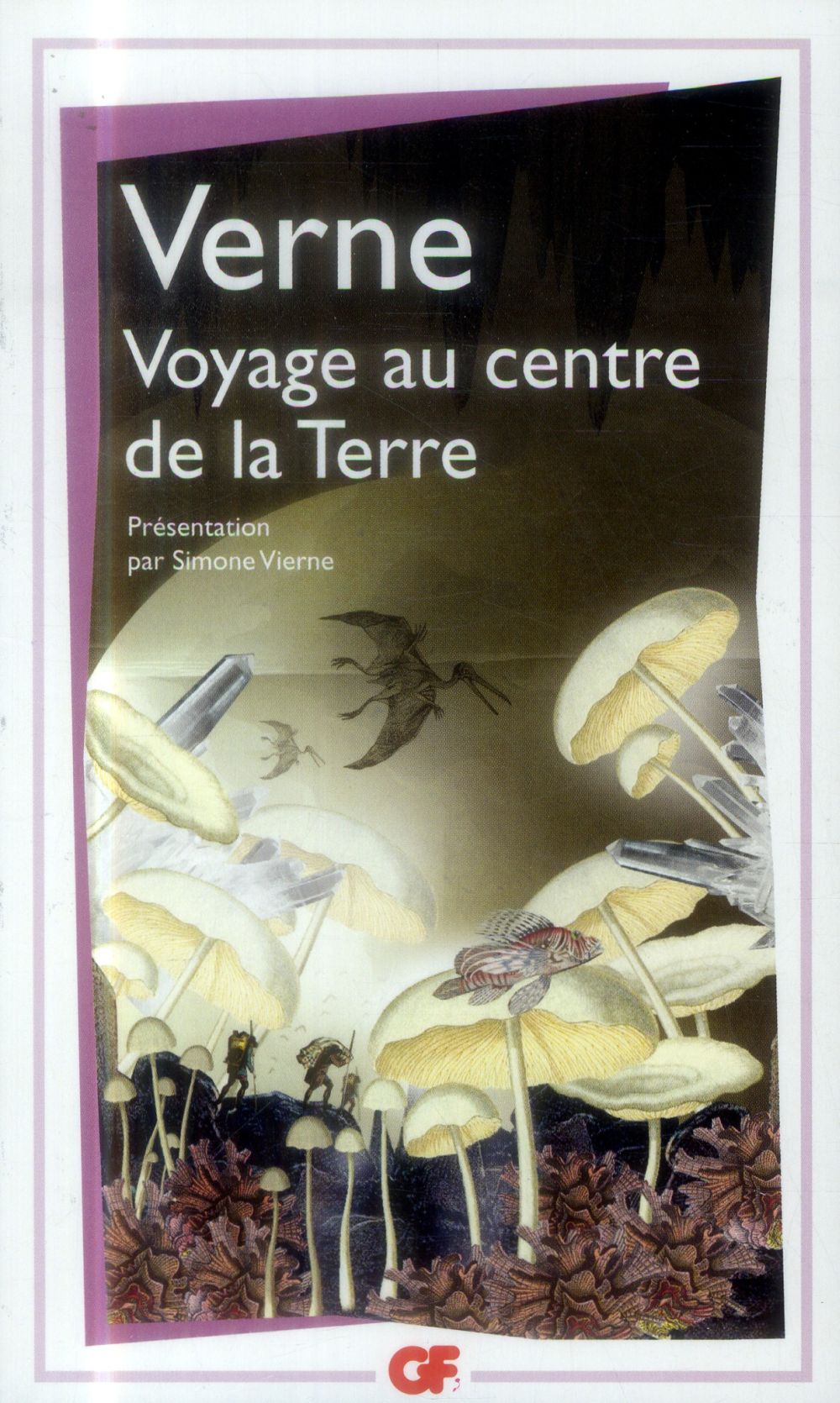 VOYAGE AU CENTRE DE LA TERRE - VERNE JULES - Flammarion