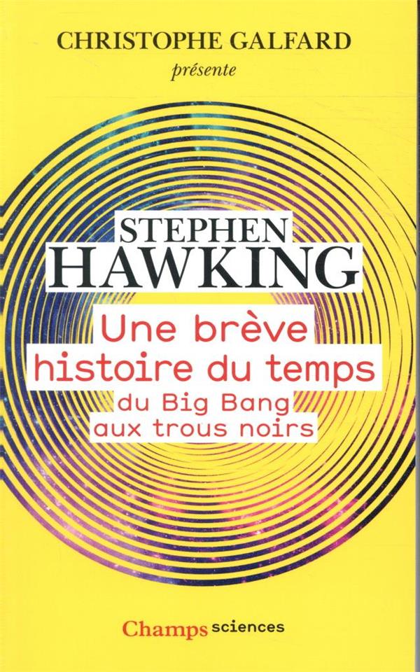 UNE BREVE HISTOIRE DU TEMPS - DU BIG BANG AUX TROUS NOIRS - HAWKING STEPHEN - FLAMMARION