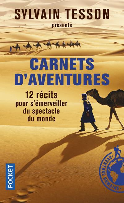 CARNETS D-AVENTURES - TESSON SYLVAIN - Pocket