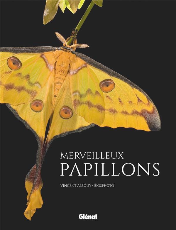 MERVEILLEUX PAPILLONS - ALBOUY/BIOSPHOTO - GLENAT