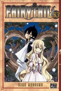 FAIRY TAIL TOME 53 - Hiro Mashima - PIKA