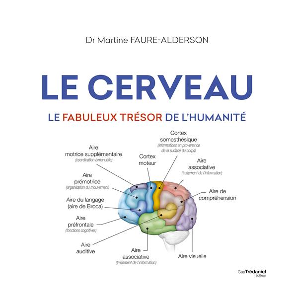 LE CERVEAU - LE FABULEUX TRESOR DE L'HUMANITE - FAURE-ALDERSON - TREDANIEL