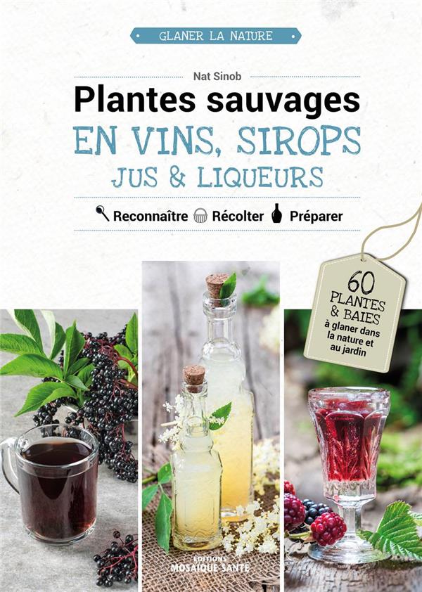 PLANTES SAUVAGES EN VINS, SIROPS, JUS & LIQUEURS - 60 PLANTES & BAIES A GLANER DANS LA NATURE OU AU - SINOB NAT - MOSAIQUE SANTE