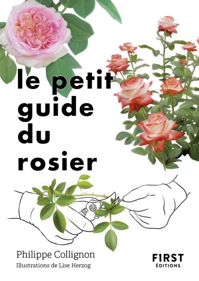 LE PETIT GUIDE DU ROSIER - COLLIGNON/HERZOG - FIRST