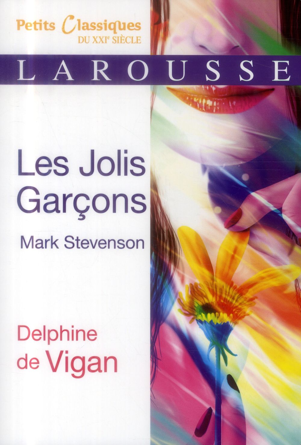 LES JOLIS GARCONS - VIGAN DELPHINE - Larousse