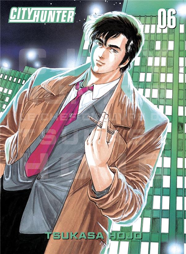 CITY HUNTER PERFECT EDITION T06 - HOJO TSUKASA - PANINI