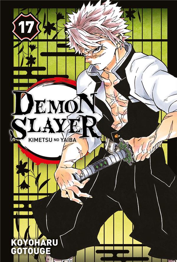 DEMON SLAYER T17 - GOTOUGE KOYOHARU - PANINI COM MAG