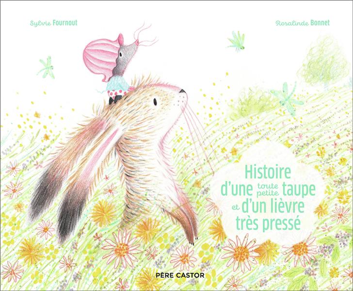 HISTOIRE D-UNE TOUTE PETITE TAUPE ET D-UN LIEVRE TRES PRESSE - BONNET/FOURNOUT - FLAMMARION