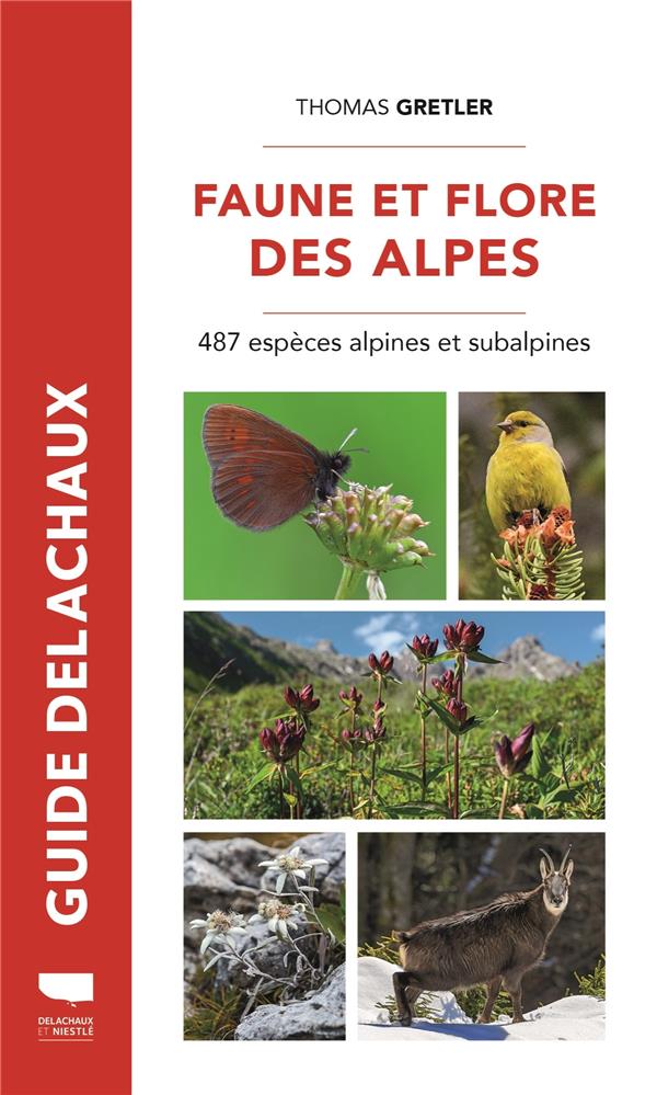 FAUNE ET FLORE DES ALPES. 487 ESPECES ALPINES ET SUBALPINES - GRETLER THOMAS - DELACHAUX