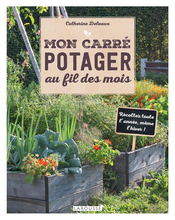 MON CARRE POTAGER AU FIL DES MOIS -  DELVAUX  CATHERINE - LAROUSSE