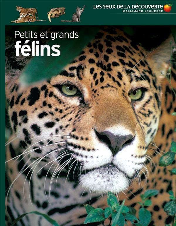 PETITS ET GRANDS FELINS - CLUTTON-BROCK JULIET - GALLIMARD