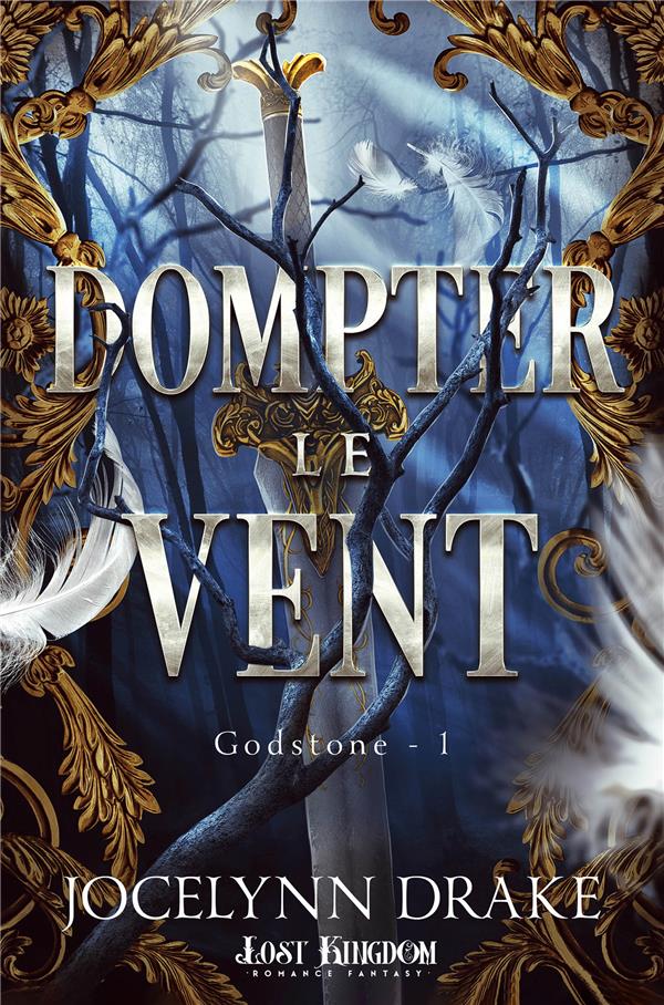 GODSTONE TOME 1 : DOMPTER LE VENT - DRAKE JOCELYNN - REINES-BEAUX