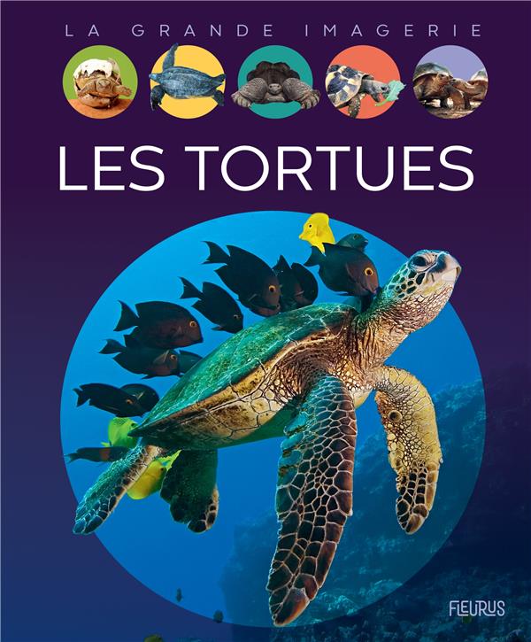 LES TORTUES - BOCCADOR SABINE - FLEURUS