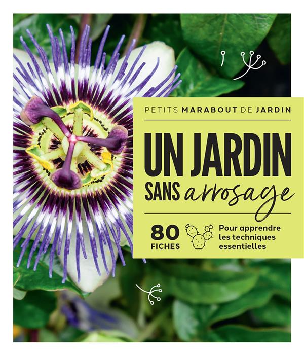 UN JARDIN SANS ARROSAGE : 80 FICHES POUR APPRENDRE LES TECHNIQUES ESSENTIELLES - COLLECTIF - MARABOUT