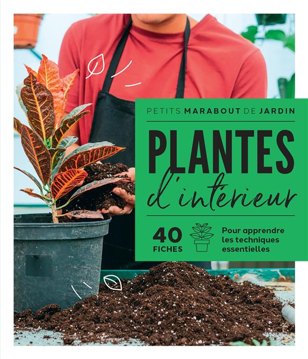 PLANTES D'INTERIEUR : 40 FICHES POUR APPRENDRE LES TECHNIQUES ESSENTIELLES - COLLECTIF - MARABOUT