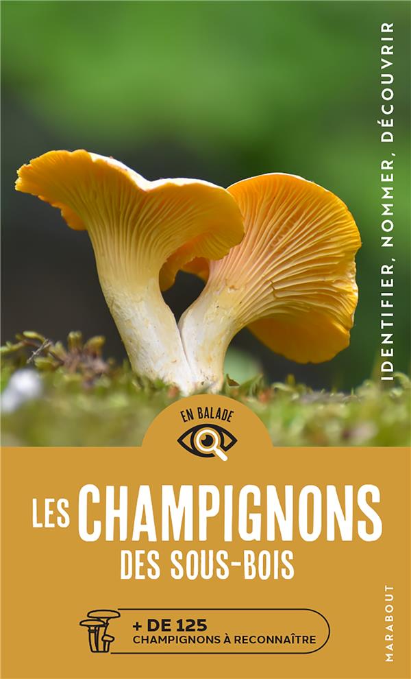 LES CHAMPIGNONS DES SOUS-BOIS - FLUCK MARKUS - MARABOUT