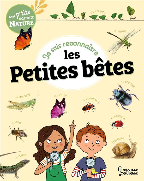 MES P'TITS CARNETS NATURE : JE SAIS RECONNAITRE LES PETITES BETES - GRIBOUILLE/LEBRUN - LAROUSSE