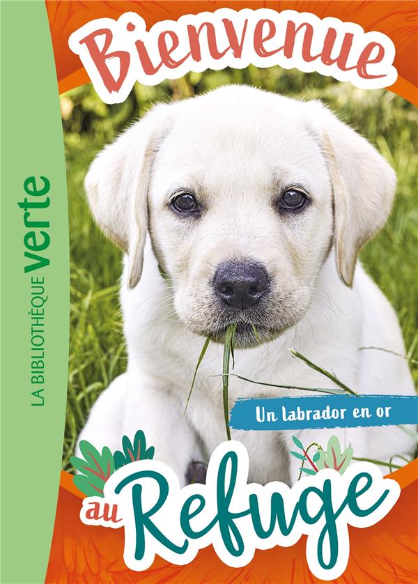 BIENVENUE AU REFUGE TOME 8 : UN LABRADOR EN OR - LIVRE HACHETTE - HACHETTE