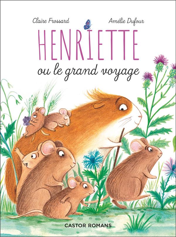 HENRIETTE OU LE GRAND VOYAGE - FROSSARD/DUFOUR - FLAMMARION