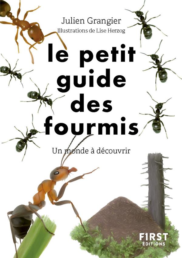 LE PETIT GUIDE DES FOURMIS : UN MONDE A DECOUVRIR - GRANGIER/HERZOG - FIRST