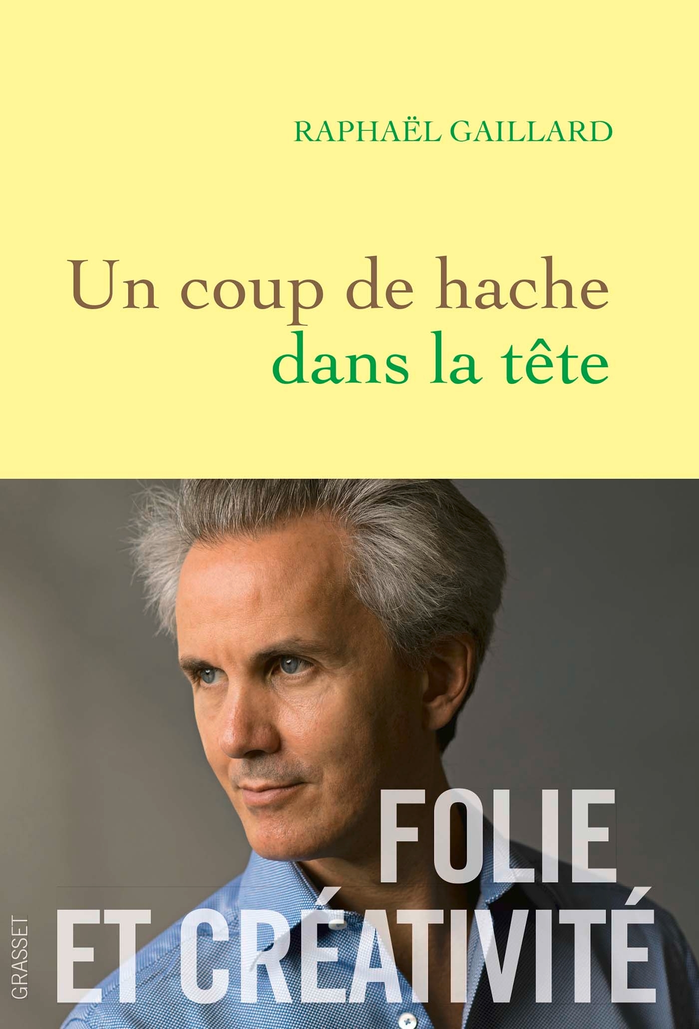 UN COUP DE HACHE DANS LA TETE - FOLIE ET CREATIVITE - Raphaël Gaillard - GRASSET