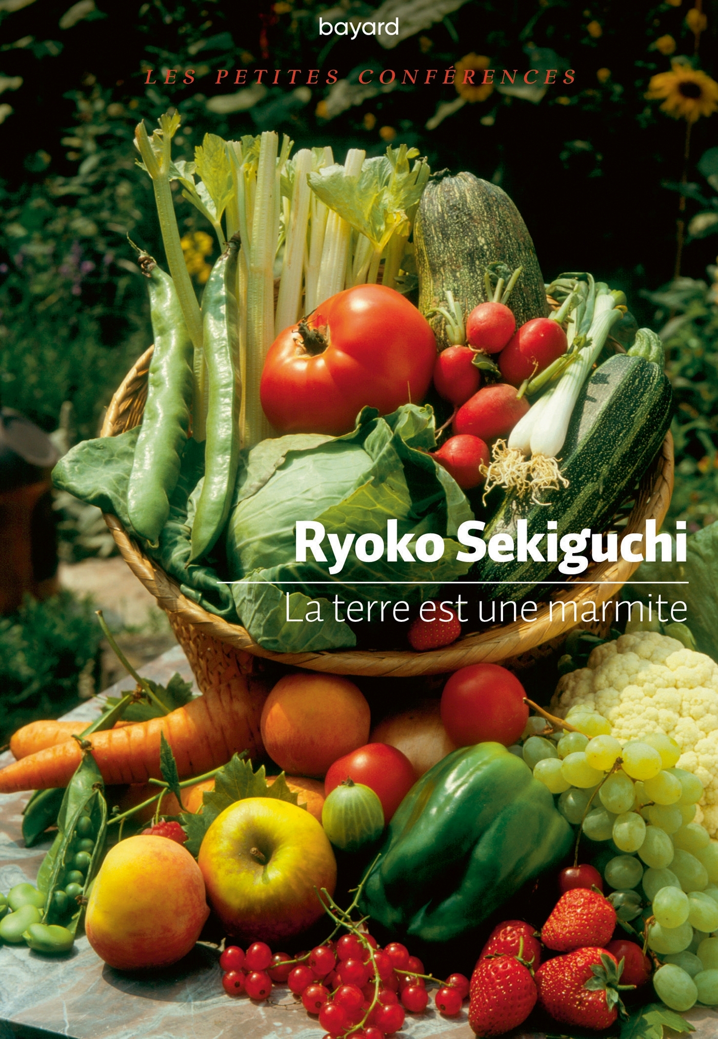 La Terre est une marmite - Sekiguchi Ryoko - BAYARD ADULTE