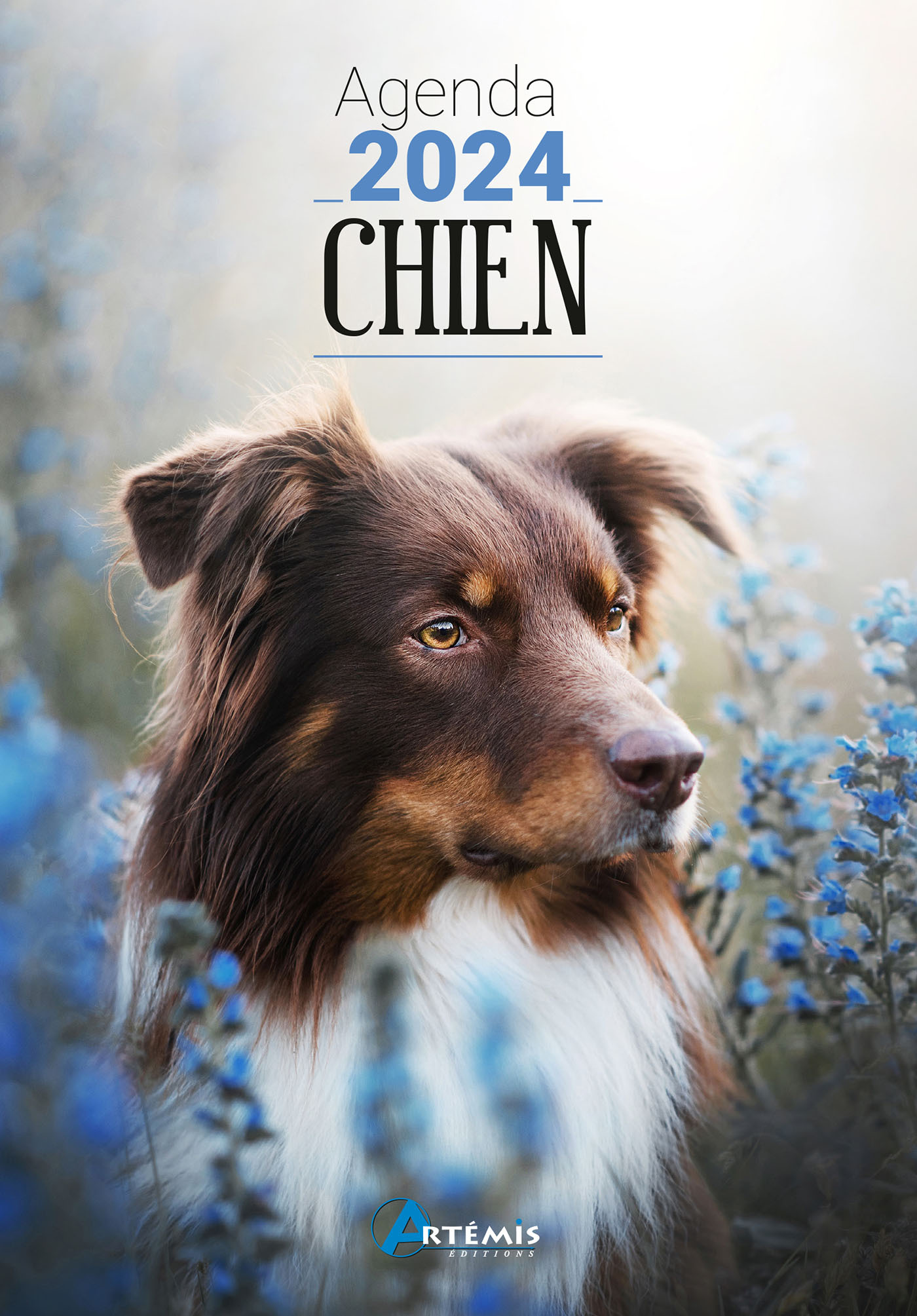 AGENDA CHIEN 2024 -  Collectif - ARTEMIS