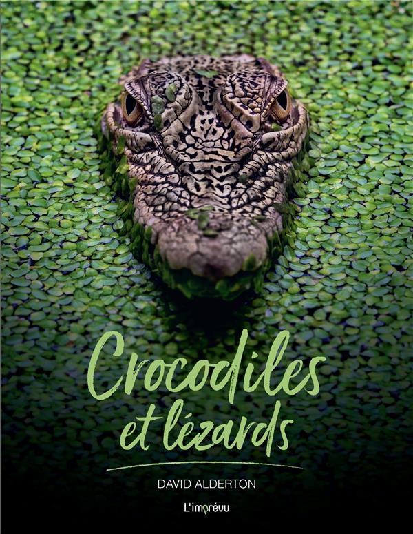 CROCODILES ET LEZARDS - XXX - L IMPREVU CROCODILES ET LEZARDS - XXX - L IMPREVU