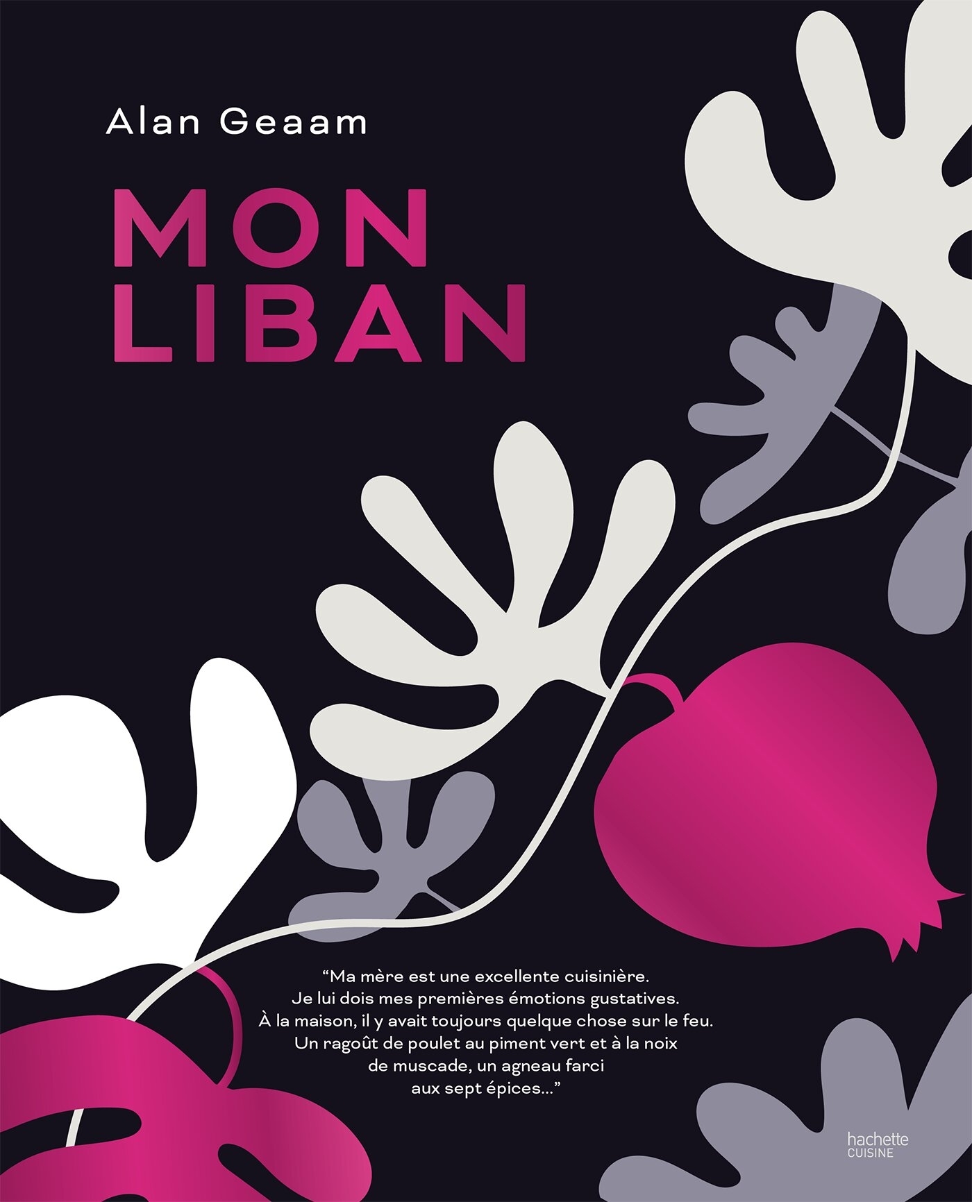 MON LIBAN - Alan Geaam - HACHETTE PRAT