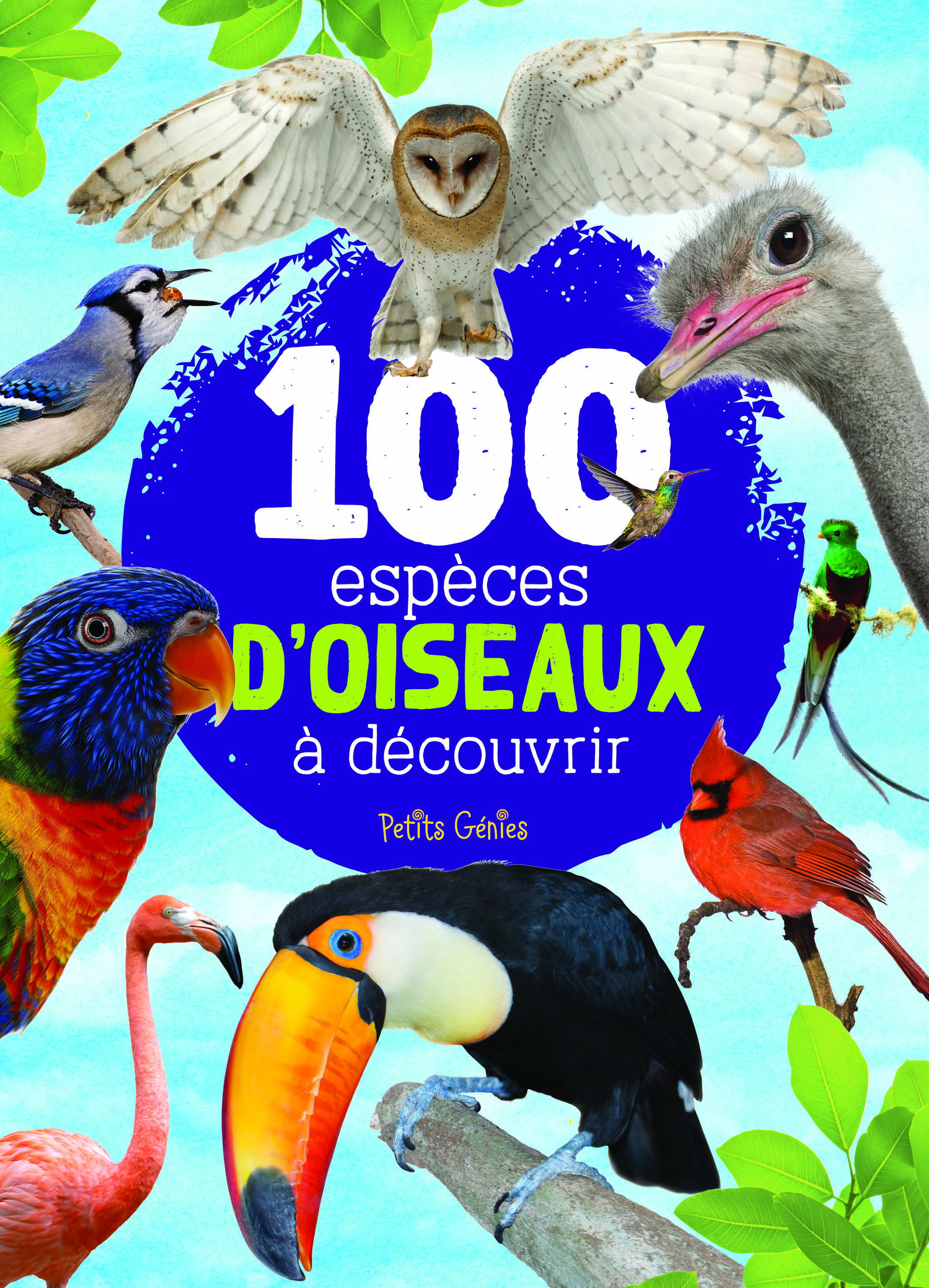 100 ESPECES D'OISEAUX A DECOUVRIR - MARIE-EVE CÔTE - PETITS GENIES