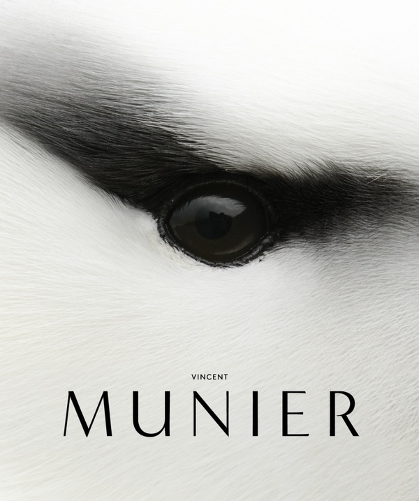 VINCENT MUNIER - MUNIER VINCENT - KOBALANN VINCENT MUNIER - MUNIER VINCENT - KOBALANN