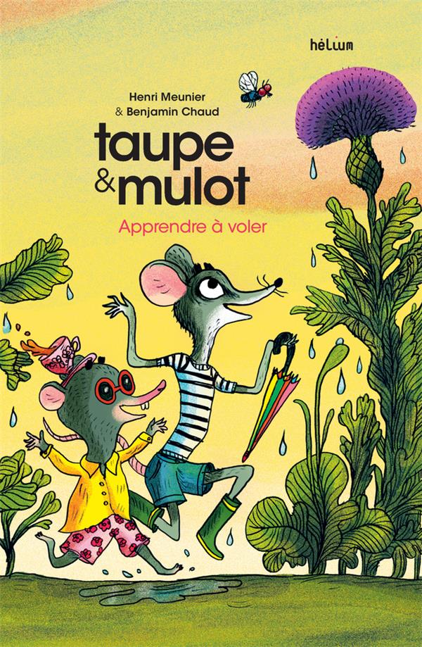 TAUPE ET MULOT TOME 5 : APPRENDRE A VOLER - MEUNIER HENRI/CHAUD - ACTES SUD