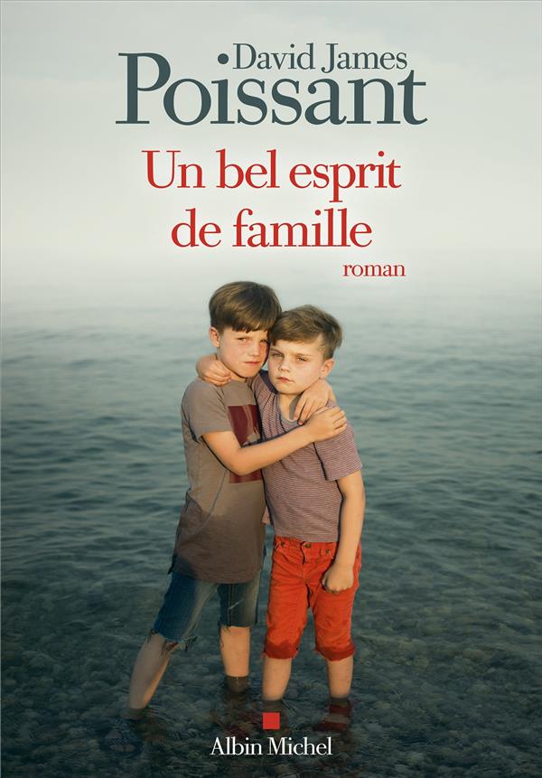 UN BEL ESPRIT DE FAMILLE - POISSANT  DAVID JAMES - ALBIN MICHEL