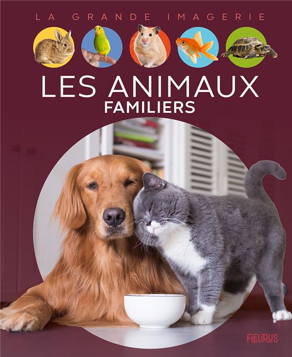 LES ANIMAUX FAMILIERS - BOCCADOR SABINE - FLEURUS