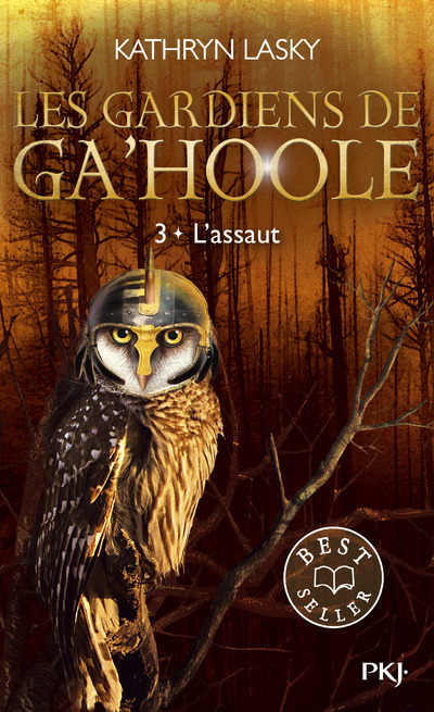 LES GARDIENS DE GA'HOOLE - TOME 3 L'ASSAUT - VOL03 - Kathryn Lasky - POCKET JEUNESSE