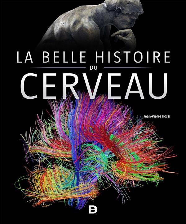 LA BELLE HISTOIRE DU CERVEAU - ROSSI JEAN-PIERRE - DE BOECK SUP