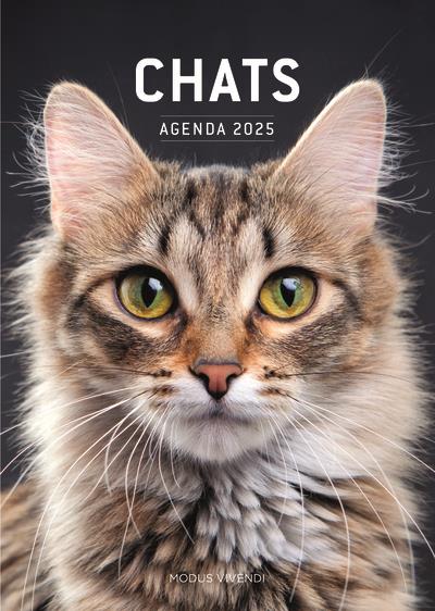 CHATS - AGENDA 2025 - COLLECTIF - NC