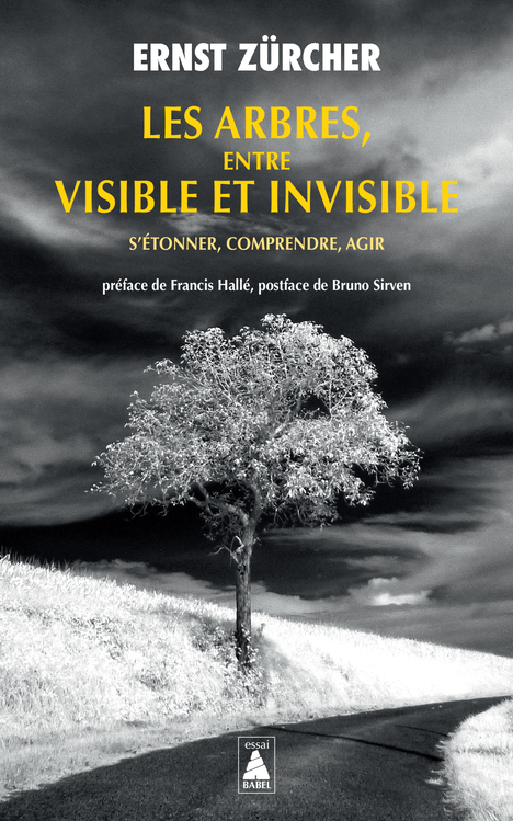 Les Arbres, entre visible et invisible - Zürcher Ernst, Hallé Francis, Sirven Bruno - ACTES SUD