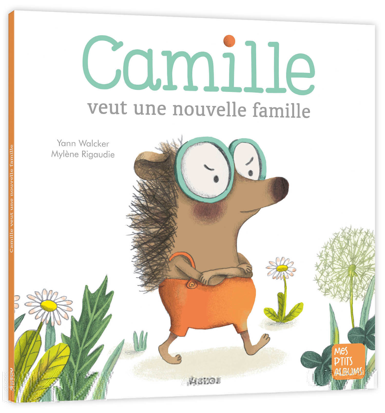 CAMILLE VEUT UNE NOUVELLE FAMILLE - Walcker Yann, Rigaudie Mylène - AUZOU