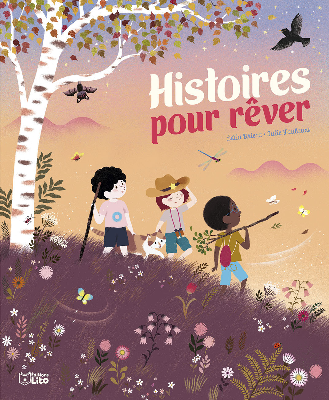 HISTOIRES POUR REVER - XXX - LITO