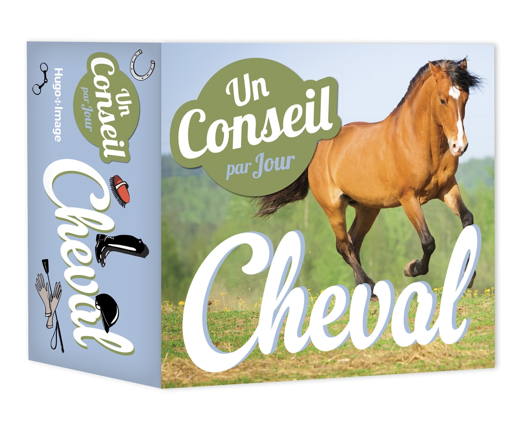 Une question de cheval par jour 2024 -   - HUGO IMAGE