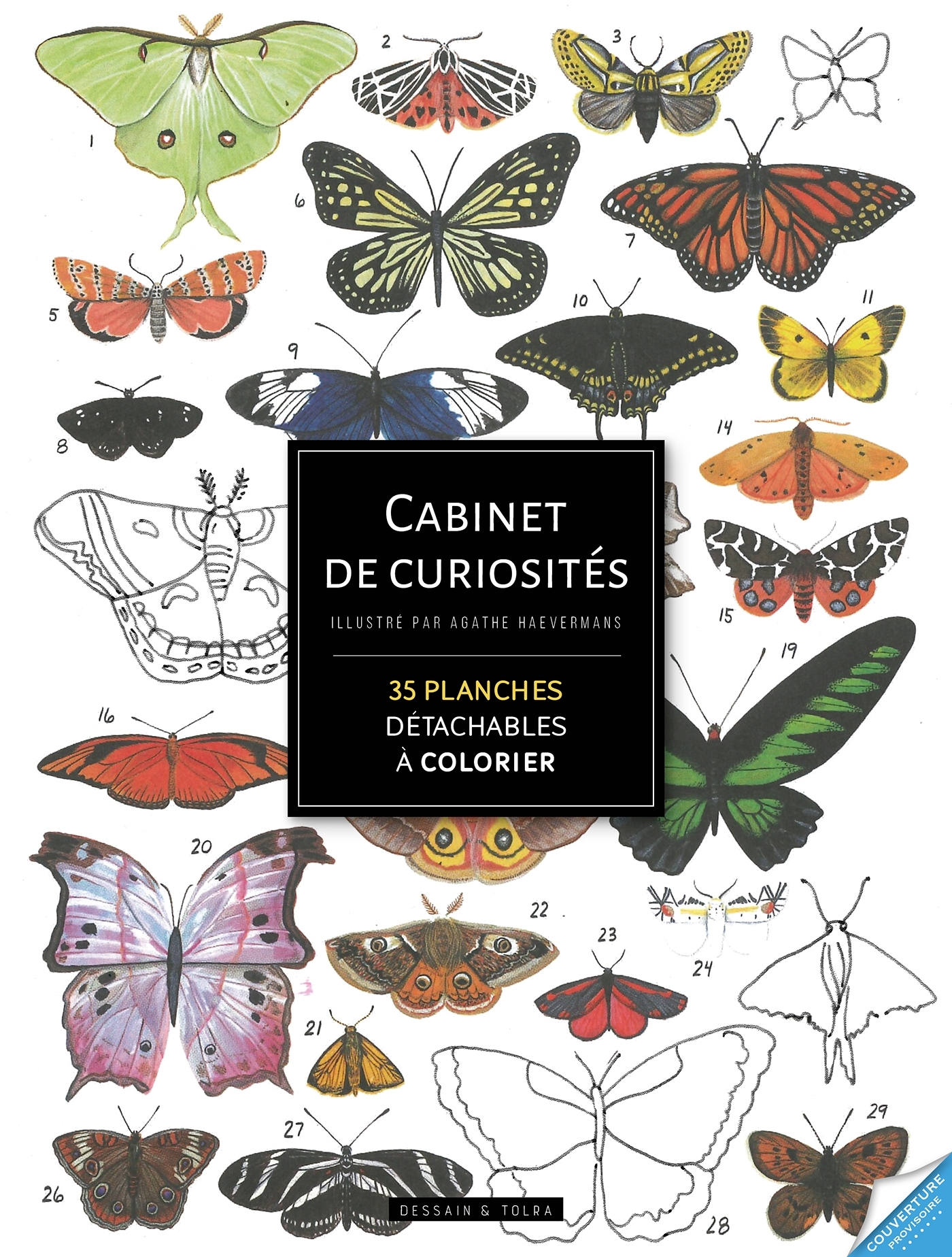 Cabinet de curiosités - Haevermans Agathe - DESSAIN TOLRA