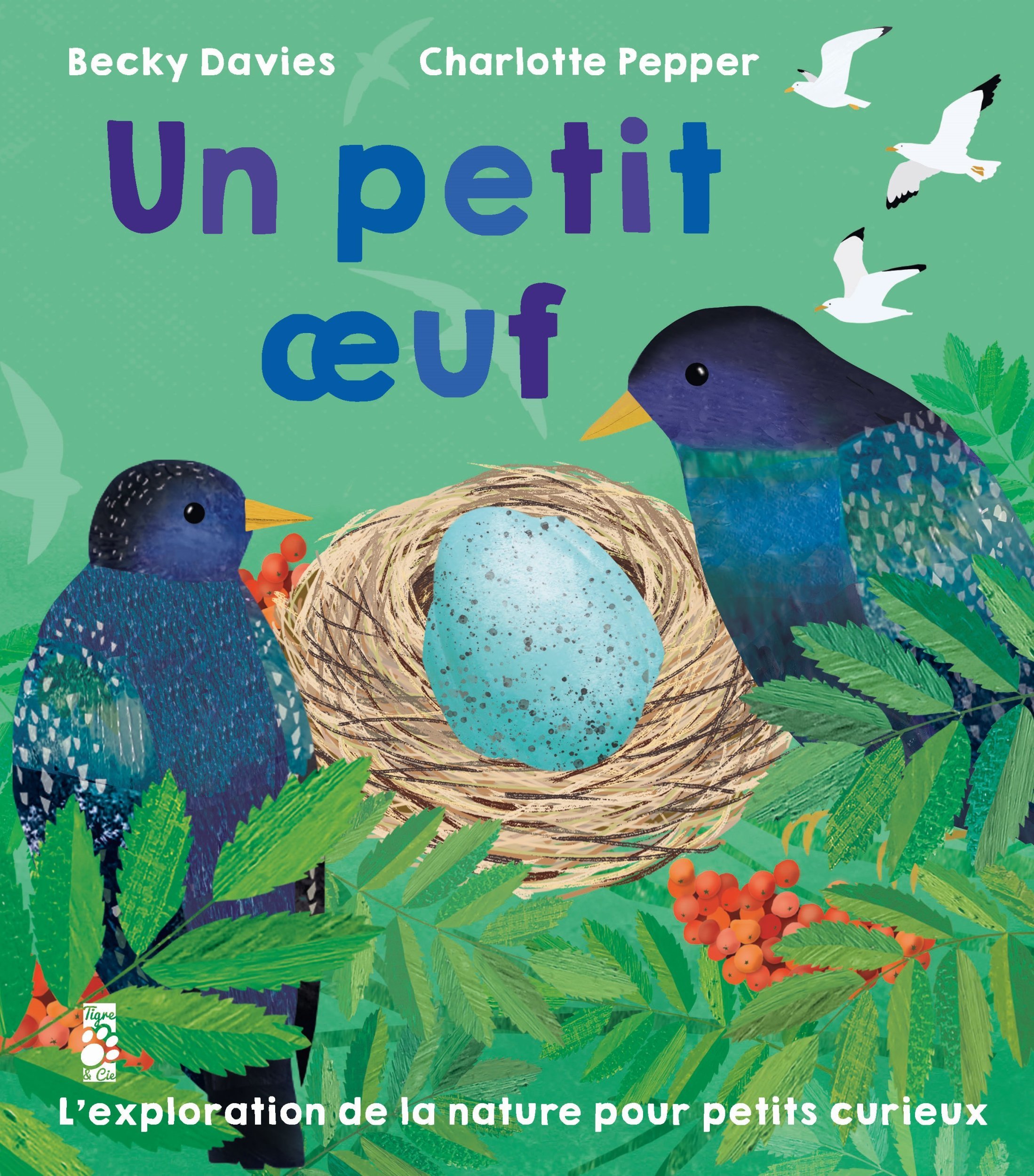 Un petit oeuf - DAVIES Becky - TIGRE ET CIE