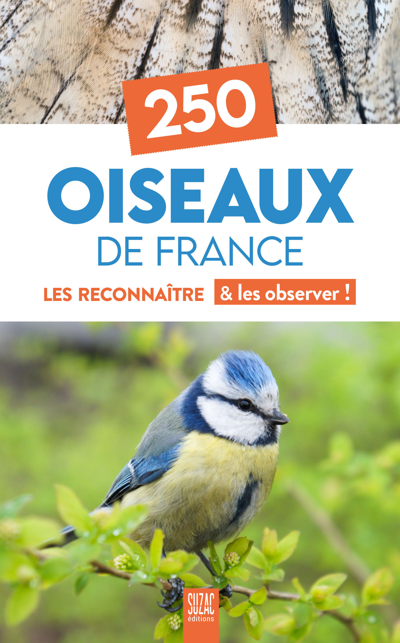 250 oiseaux de France - Collectif  - SUZAC