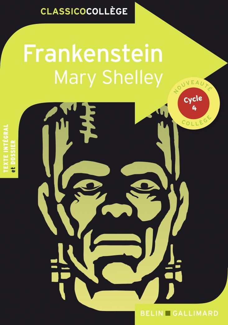 Frankenstein - Hannedouche Cédric, Shelley Mary, Betjeman Hannah - BELIN EDUCATION