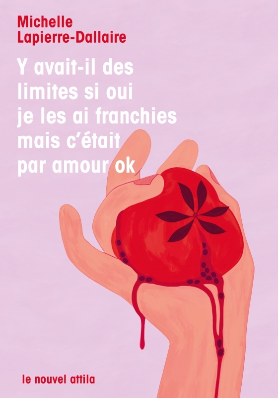 Y avait-il des limites si oui je les ai franchies mais c'était par amour ok - Lapierre-Dallaire Michelle - NOUVEL ATTILA