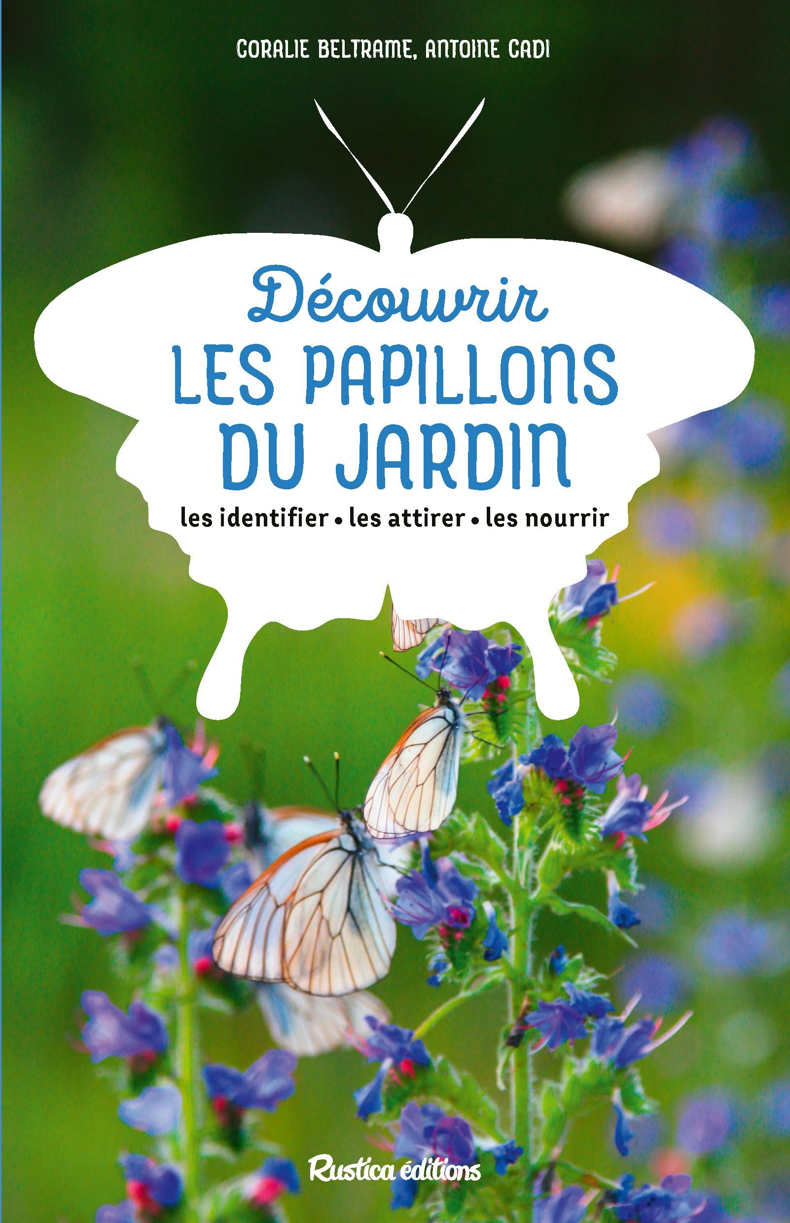 Découvrir les papillons du jardin - Beltrame Coralie, Cadi Antoine - RUSTICA