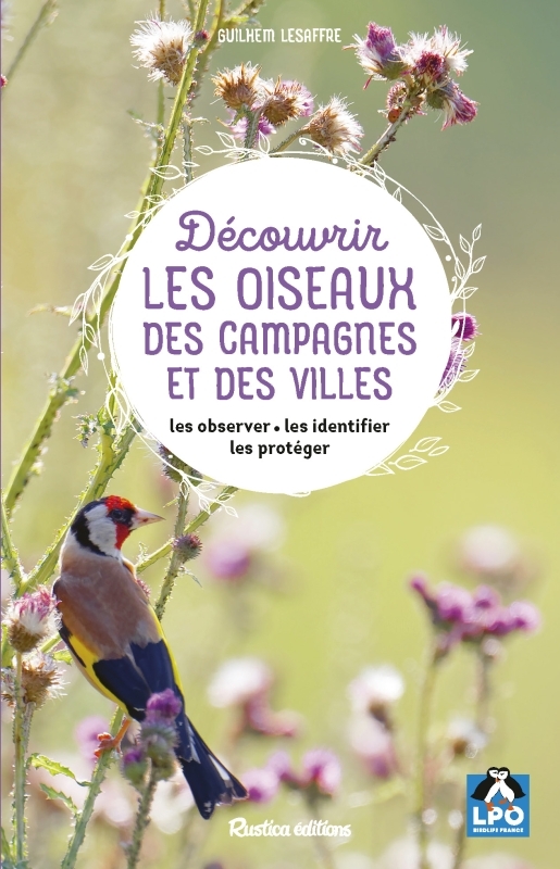 Découvrir les oiseaux des campagnes et des villes - Lesaffre Guilhem - RUSTICA